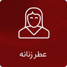 دسته‌بندی ۲